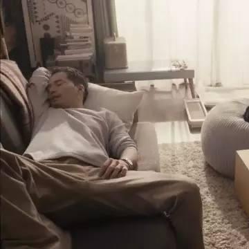 狗云背后的故事，深度解析互联网宠物业的兴起