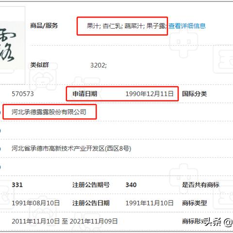 什么是域名过户，全面解析与操作指南