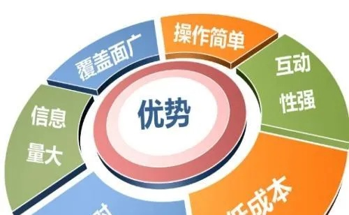 架设网站服务器成本详解，从预算规划到优化策略