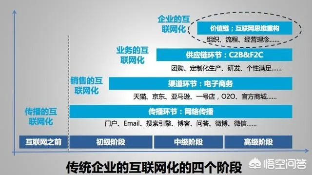 纳和网络，数字经济时代下的互动融合与未来展望