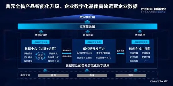 普泽云科技，赋能企业数字化转型的精英力量