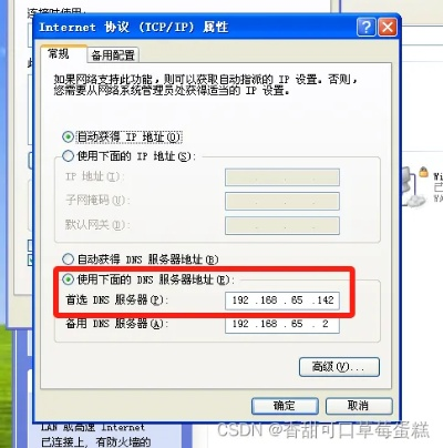 如何修改DNS域名在Windows XP系统中的步骤与注意事项