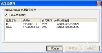 花生壳绑定IP后域名无法访问的排查与解决指南
