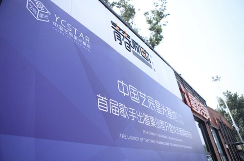 优选生活艺术，优位风尚引领现代人居美学新潮流
