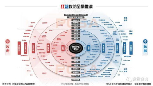 解析红域网络，多维度透视其服务价值与市场表现