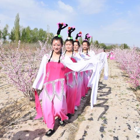 探索天寻网络，服务、技术及行业影响力剖析
