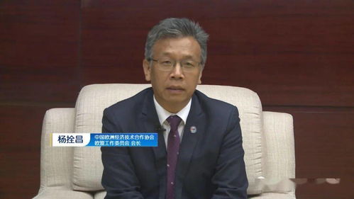 中国火网，互联网行业的璀璨明星，正向未来持续发光