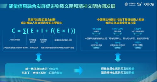 华月互网与西部数码的香港主机，用户体验与评价