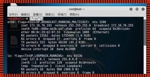 电脑能上网但Ping不通域名，原因解析与解决策略