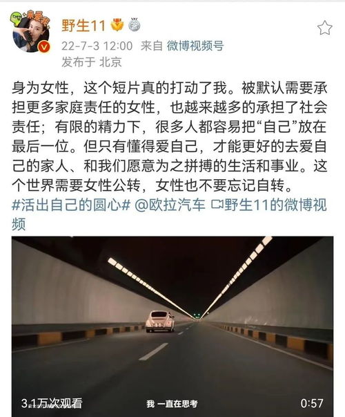 COJP，探索域名背后的意义与起源