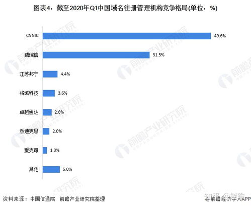 中国互联网域名注册管理机构，构建数字时代的信任基石