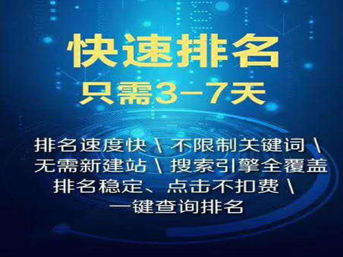域名包含关键词对SEO的影响，优势、挑战与策略