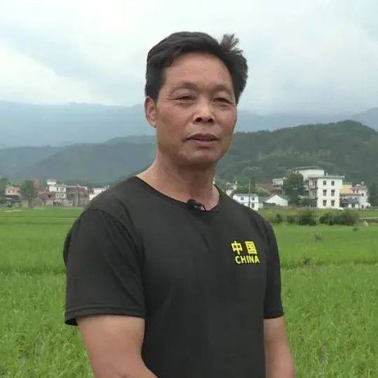 专题页面跳转域名的全面指南，从策划到实施
