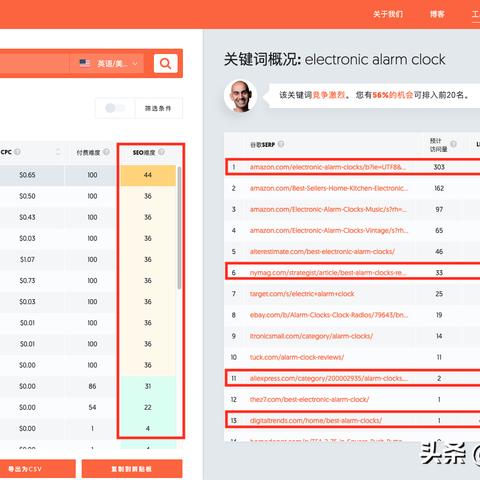 我的网站被另一个域名恶意指向了，如何维权与投诉