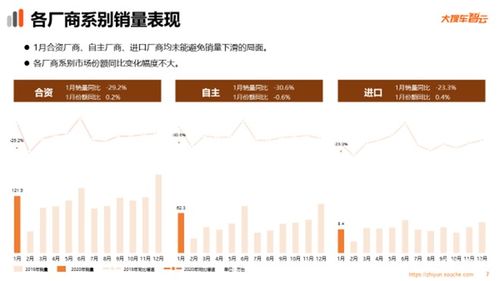 域名与品牌，探索搜玉米的易记性与市场潜力