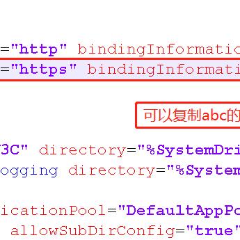 二级网站无法访问的排查与解决，从二级域名到IIS设置