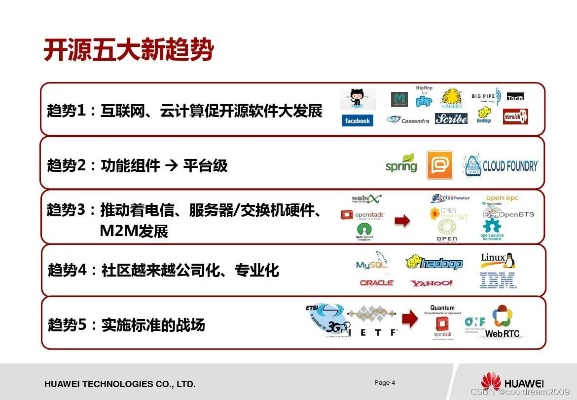 龙祥互联，互联网领域的璀璨新星