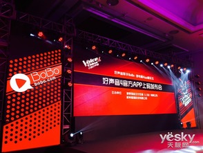 TV域名，解锁数字时代电视传媒的新篇章