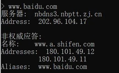 域名www1与www的区别，深入解析互联网地址的奥秘