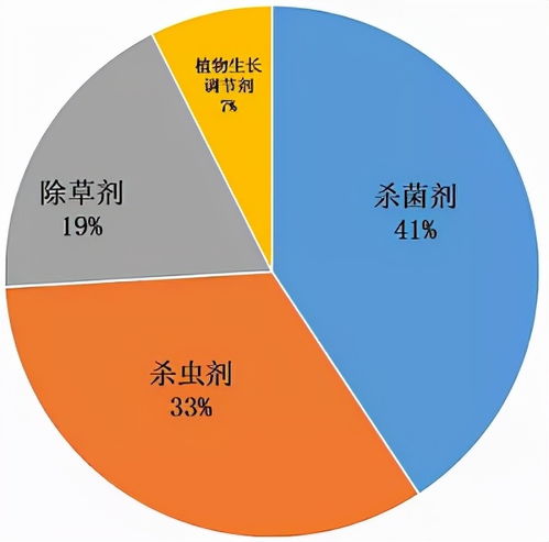 上海网域网评估与分析，构建高效、安全的网络新生态