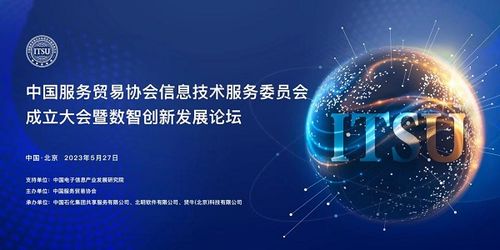 龙网中国，创新引领的数字建设与发展蓝图