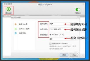 内网穿透的动态域名解析，安全隐患与防范措施