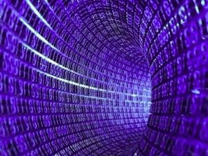 久久空间，探索虚拟与现实的交汇点