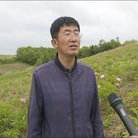 蓝鑫互联，探索数字时代的企业转型之路
