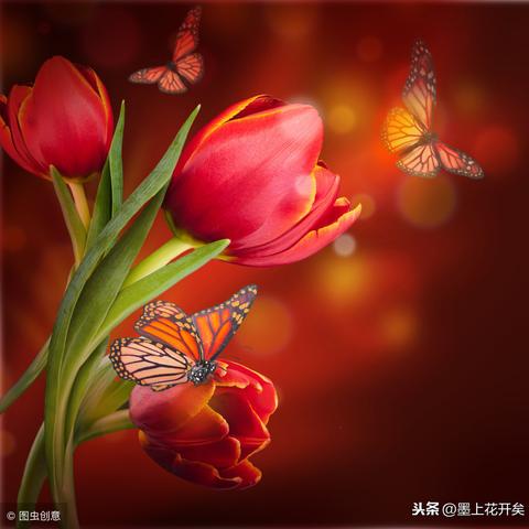 腾讯云与腾讯微云，一场名称的误解与解析
