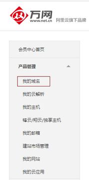 揭秘域名注册背后的秘密，万网查询无详情之谜