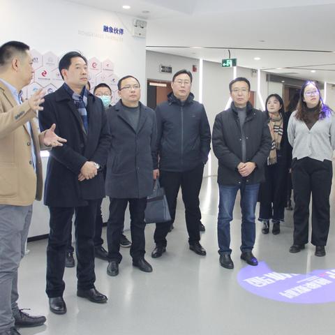 创优数据的艺术，挖掘、优化与应用策略深度解析