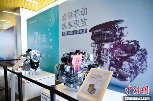 上海铭瑞网络，深耕数字服务，引领创新潮流