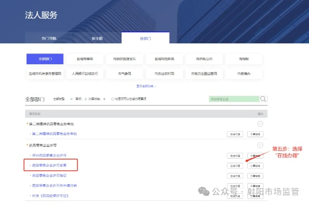 经营药品的公司注册域名后备案所需资料与流程详解