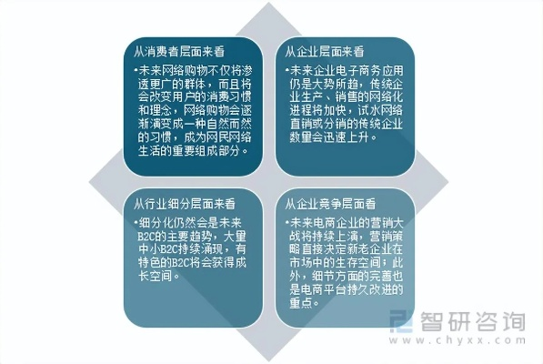 基于商务中国怎么样的探讨，网络商务行业现状与未来发展趋势
