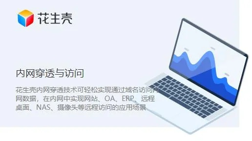 如何注册网站域名，以花生壳为例的详细指南