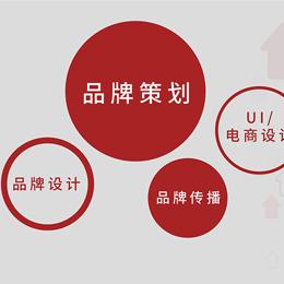 一品数据，挖掘商业洞察的力量