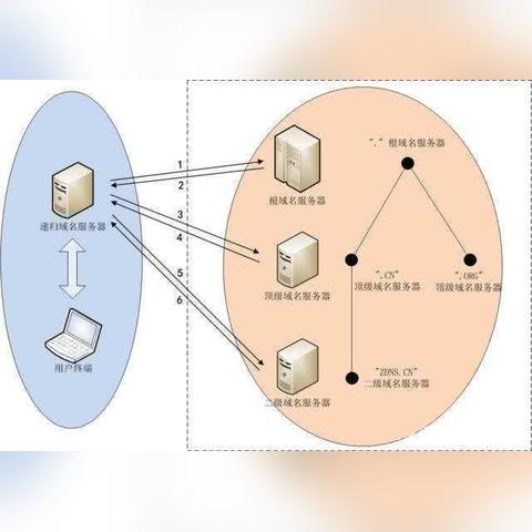如何进行域名解析，从入门到精通的指南