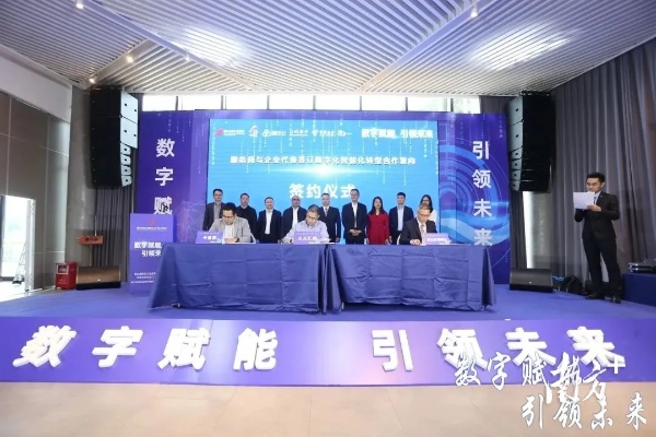 纬兴网络，实力与口碑并重的数字服务领航者