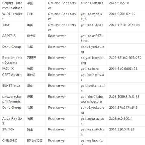 域名无法解析的困扰，探索背后的原因与解决方案