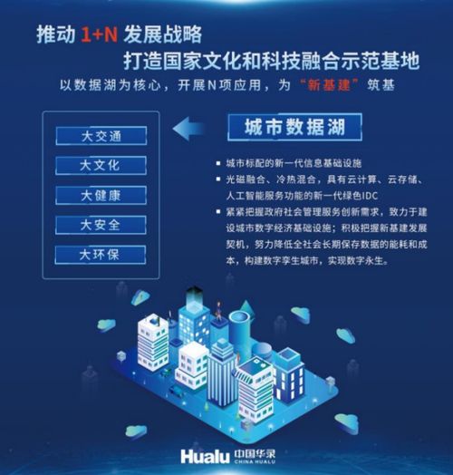 中耀网络的魅力与未来，探索数字时代的行业先锋