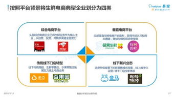旭达网络，剖析其运营现状、优势与未来发展