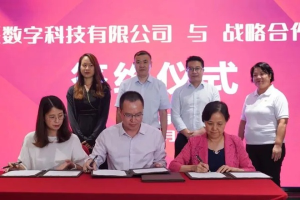厦门维派科技的崛起，科技创新引领数字时代潮流