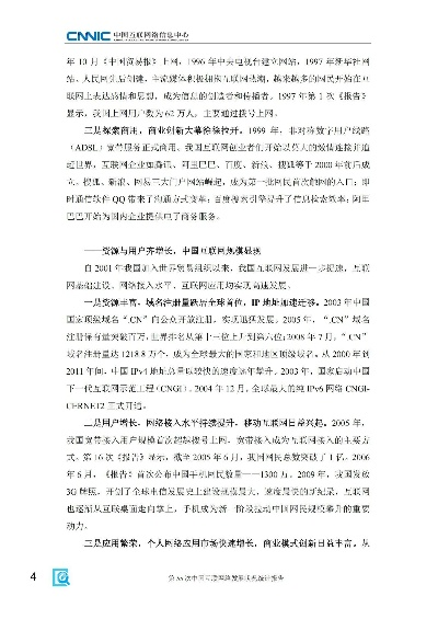 中国维网的现状与未来发展，困境与挑战下的创新之路