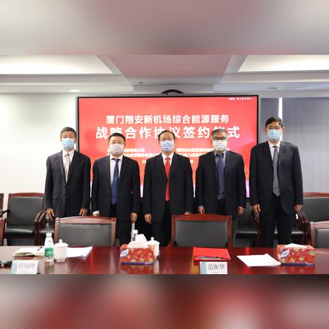 国网数据的发展与应用，探索数字时代下的能源革命