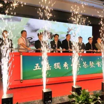草暖互联，重塑数字时代的新经济地图