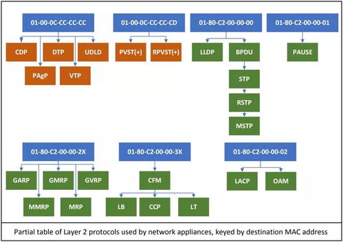 Cisco网络设备关闭DNS域名解析命令详解