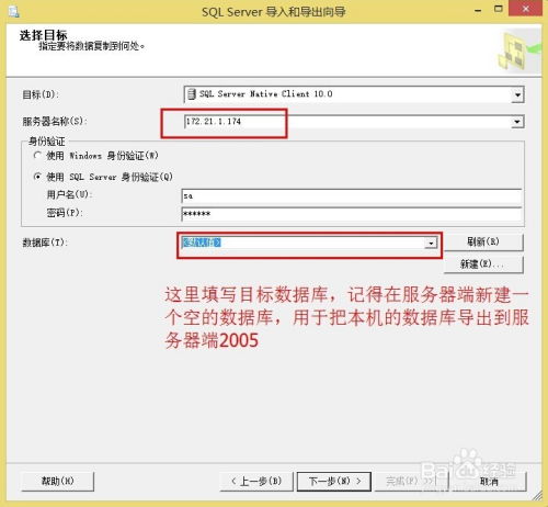 如何设置域名服务器中的二级域名，详细步骤与注意事项