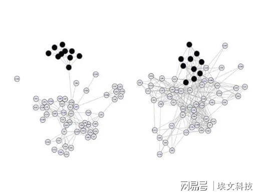 深度解析，113网络，是什么样的存在？