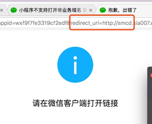 中文域名为什么不能搭建小程序