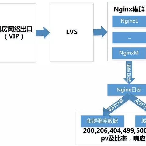 域名可以不用转发吗？